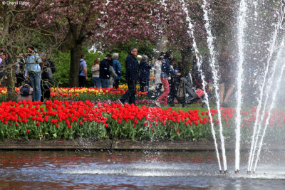 0116-keukenhof.jpg