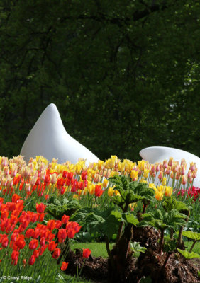 0168-keukenhof.jpg