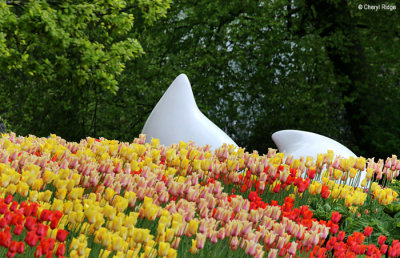 0178-keukenhof.jpg