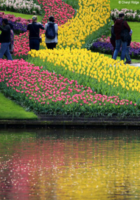 0196-keukenhof.jpg