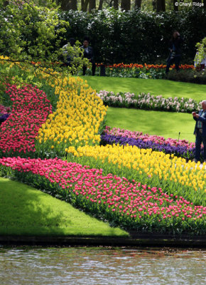 0213-keukenhof.jpg