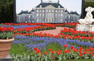 7079-keukenhof.jpg