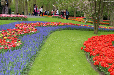 7080-keukenhof.jpg