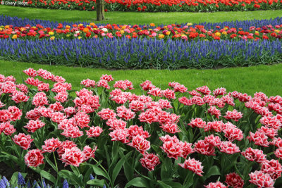 7090-keukenhof.jpg