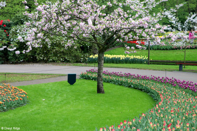 7097-keukenhof.jpg