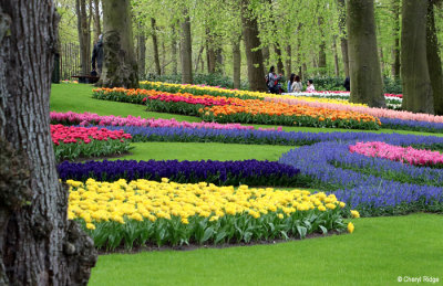 7101-keukenhof.jpg