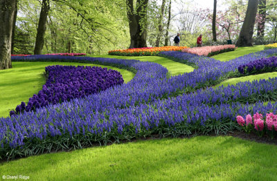 7116-keukenhof.jpg