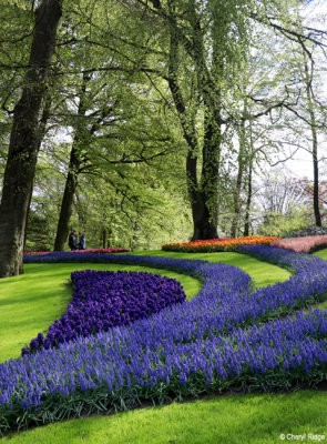 7117-keukenhof.jpg