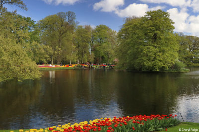 7119-keukenhof.jpg