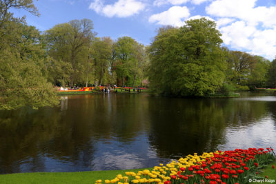 7120-keukenhof.jpg