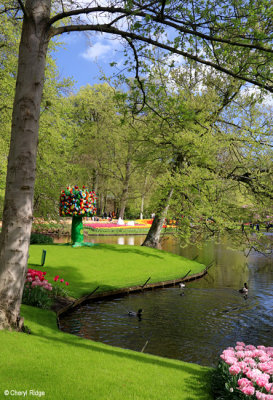 7122-keukenhof.jpg