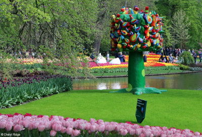 7125-keukenhof.jpg