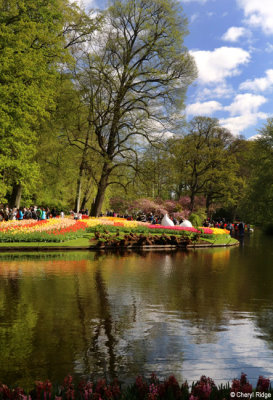 7131-keukenhof.jpg