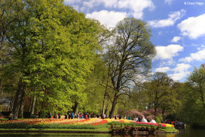 7133-keukenhof.jpg