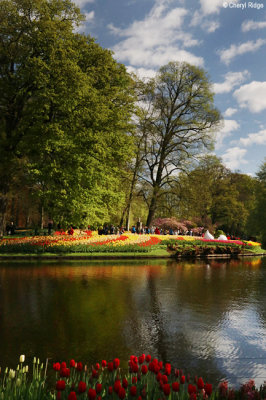 7134-keukenhof.jpg