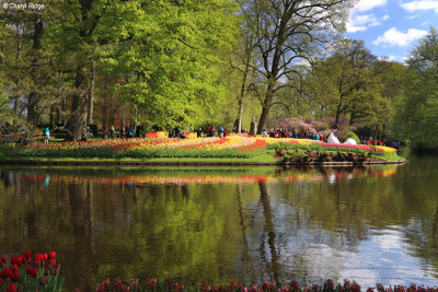 7139-keukenhof.jpg