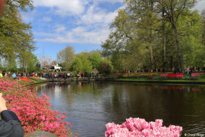 7157-keukenhof.jpg