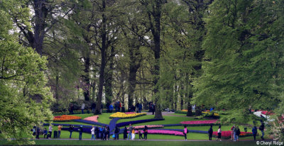 7160-keukenhof.jpg