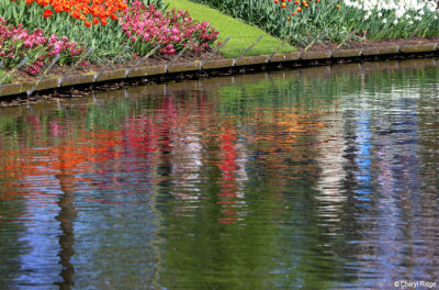 7163-keukenhof.jpg