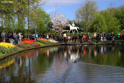 7164-keukenhof.jpg