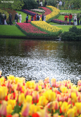 7210-keukenhof.jpg