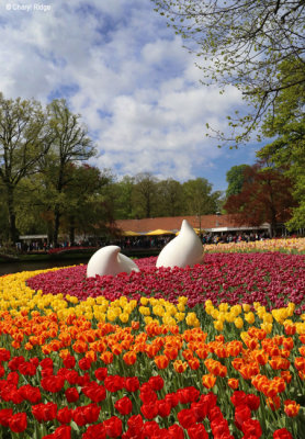 7239-keukenhof.jpg