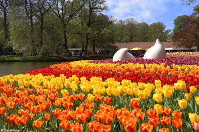 7244-keukenhof.jpg