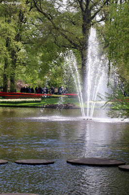 7256-keukenhof.jpg