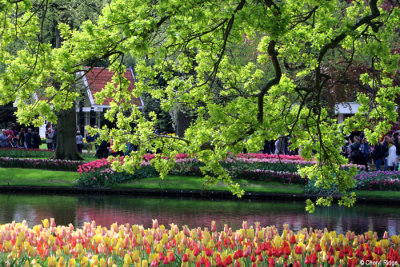 7273-keukenhof.jpg