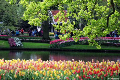 7274-keukenhof.jpg