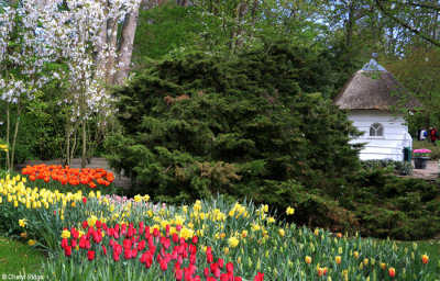 7300-keukenhof.jpg