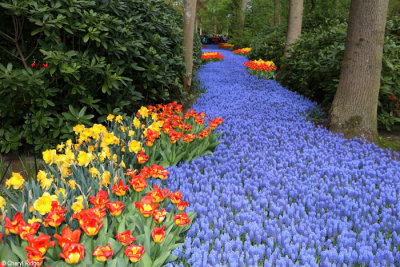 7304-keukenhof.jpg