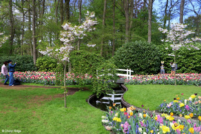 7333-keukenhof.jpg