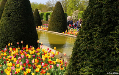 7430b-keukenhof.jpg