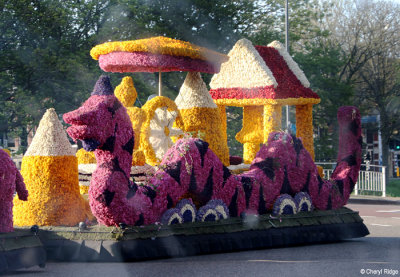 6876-bloemencorso.jpg