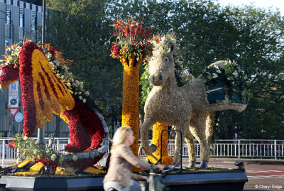 g10/24/475724/3/167629747.lCf1oF2I.jpg