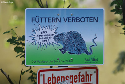 0521-bad-vilbel.jpg