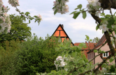 9113-dinkelsbuhl.jpg