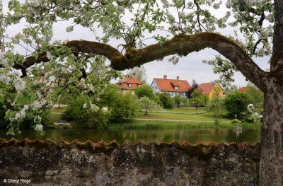 9114-dinkelsbuhl.jpg