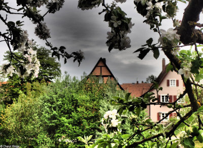 P5020208-dinkelsbuhl.jpg