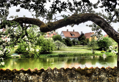 P5020213-dinkelsbuhl.jpg