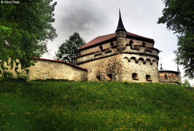 P5030320-lichtenstein.jpg