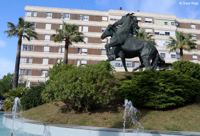 0892-plaza-del-caballo.jpg