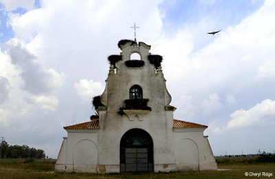 9441-senuela-chapel.jpg