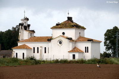 9450-senuela-chapel.jpg