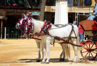 0773-(2)-feria-del-caballo.jpg