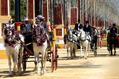 0778-(2)-feria-del-caballo.jpg