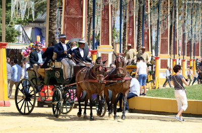 0787-feria-del-caballo.jpg