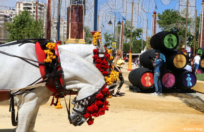 0789-(2)-feria-del-caballo.jpg