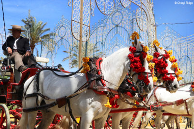 0796-(2)-feria-del-caballo.jpg